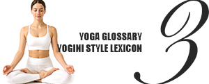 YOGA GLOSSARY, YOGINI STYLE™ LEXICON: Vol.3 MIND: The Light of Consciousness, The Compass of Philosophy