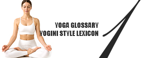 YOGA GLOSSARY, YOGINI STYLE™ LEXICON: Vol.1 BODY: The Body's Narrative, The Essence of Asana